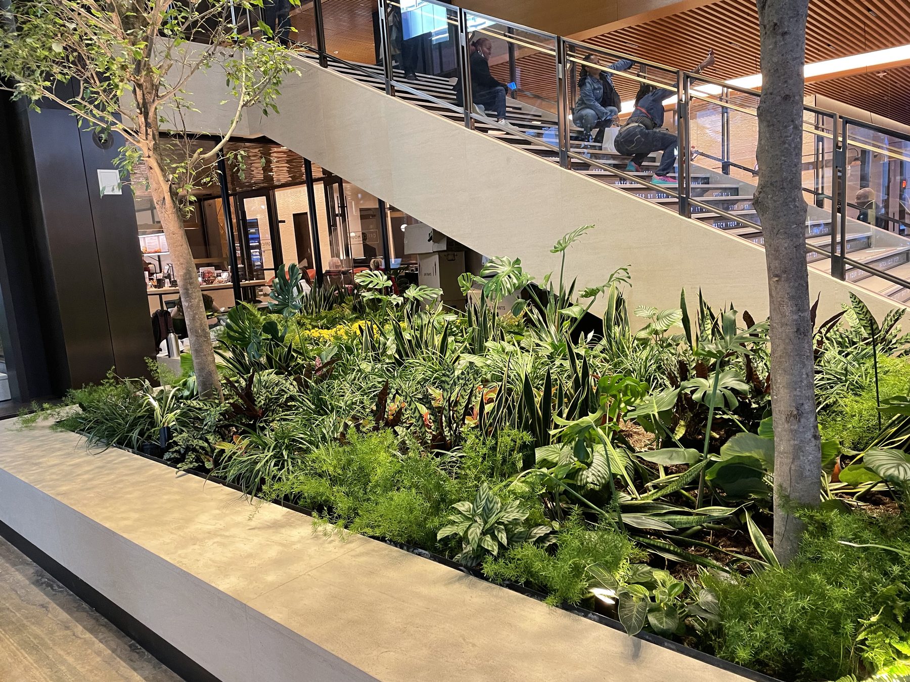 An interior atrium with hanging plants and a layered tropical planting installed by Rob.
