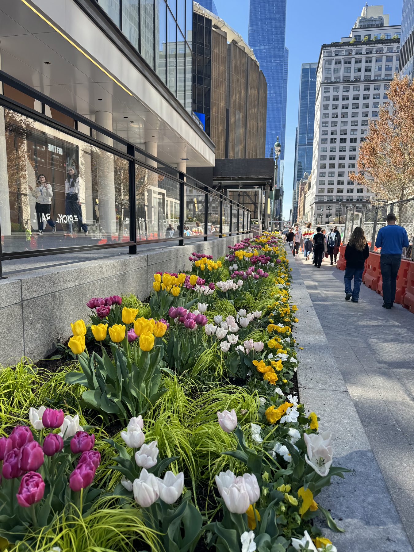 A long sidewalk planter of tulips and pansies running along a downtown Manhattan street with skyscrapers in the background.