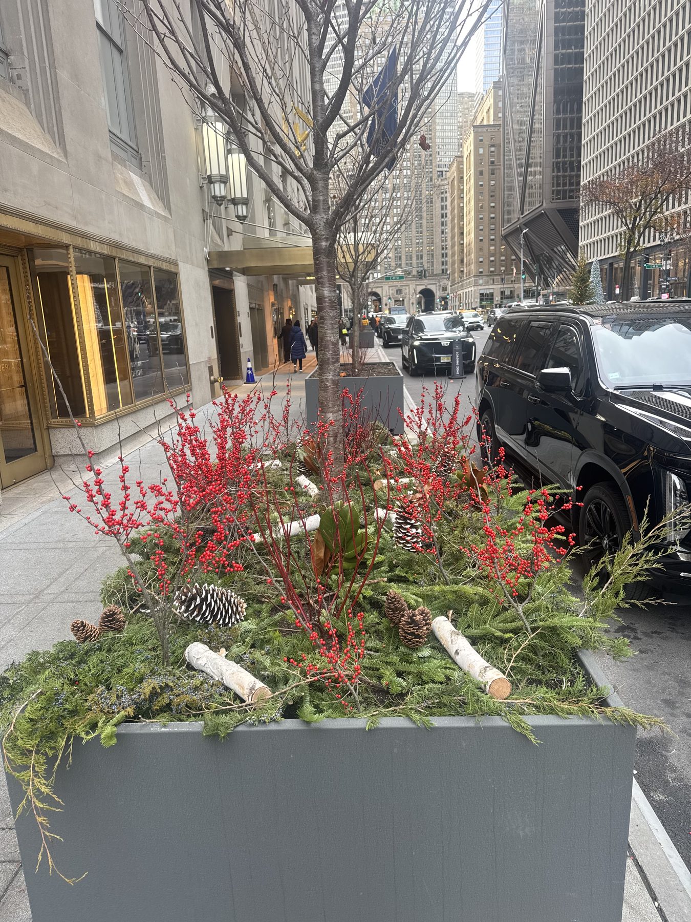 A street-level container planting with birch logs, evergreen boughs, red winterberry stems, and pinecones in front of a Manhattan storefront.
