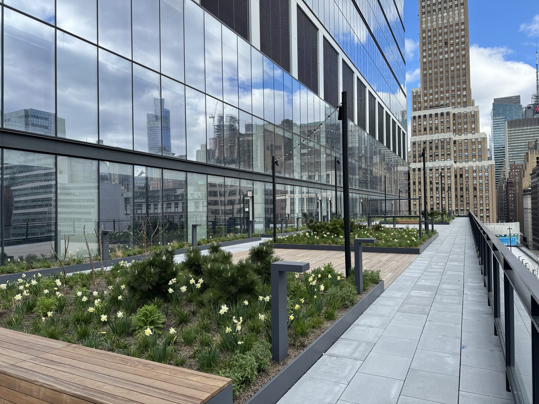 A modern rooftop terrace with planters of daffodils and grasses, looking out over the Manhattan skyline.